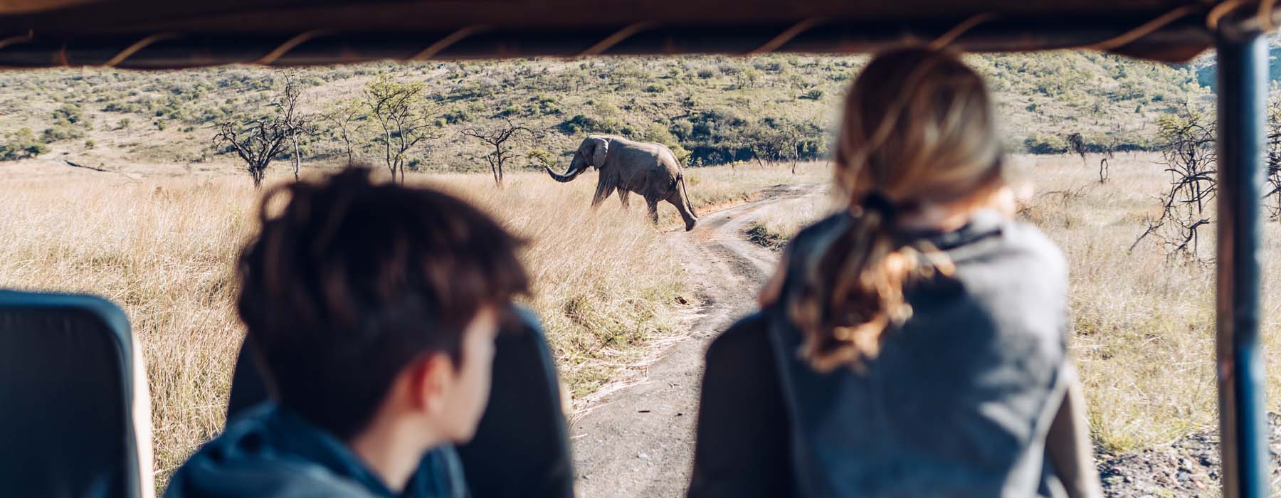 Voyage Observation Animaux