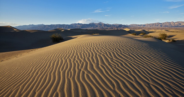 Voyage Désert de Mojave