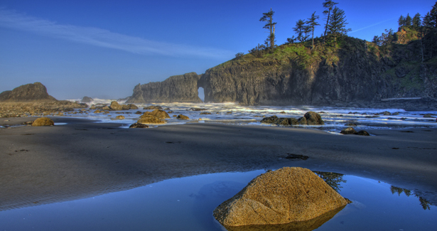 Voyage Olympic National Park