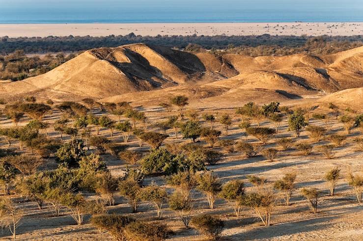 Abou Dhabi Desert - Emirats Arabes Unis