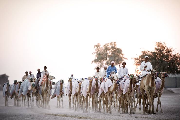 Dubai - Emirats Arabes Unis