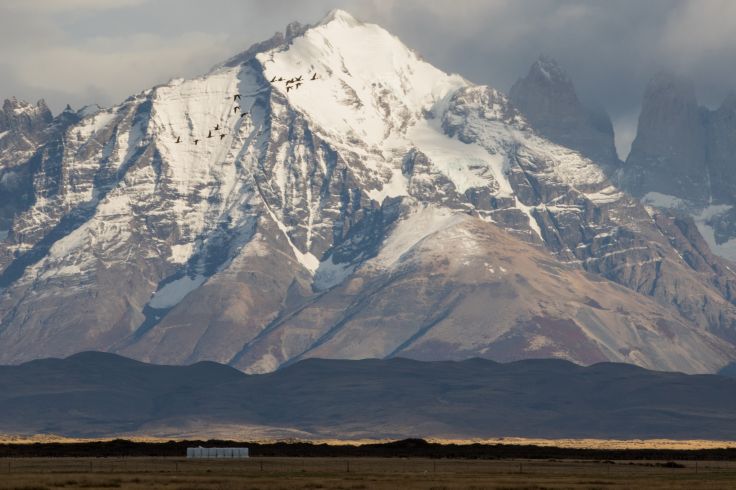 Patagonie - Argentine