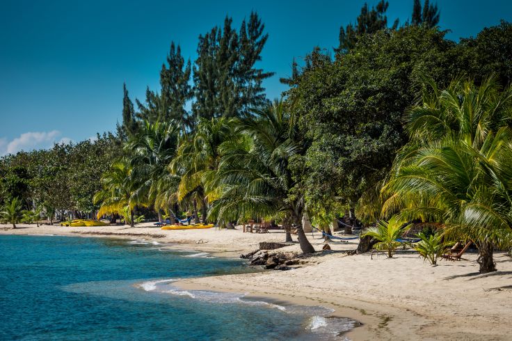 Plages et palmier au Belize