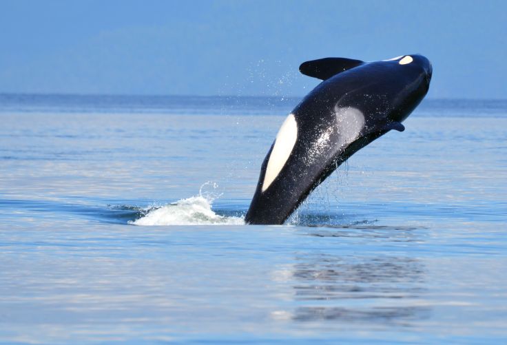 Victoria - Canada