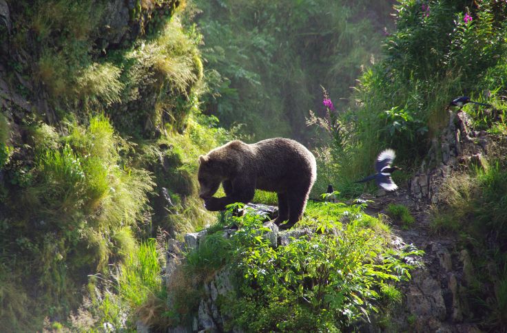 Yukon - Canada