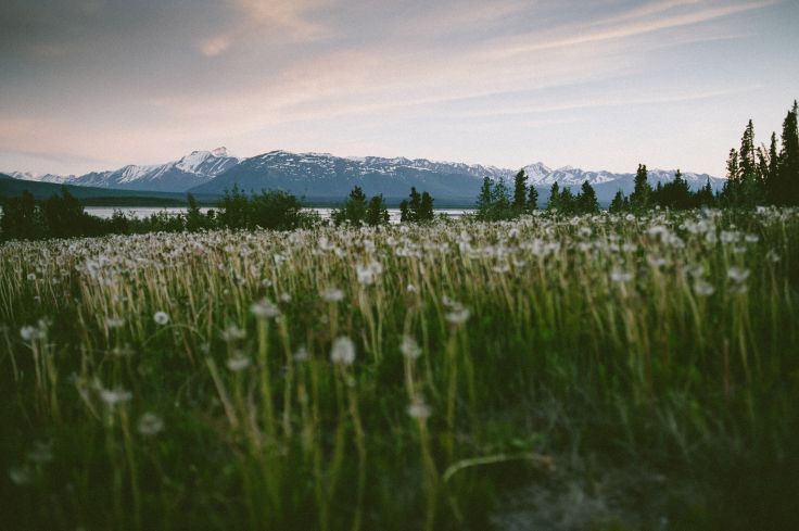 Alaska - Etats-Unis