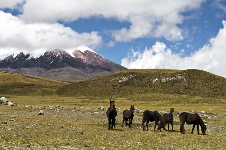 voyage equateur sante