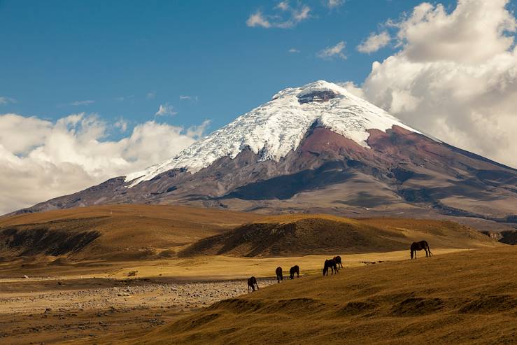 Volcan Cotopaxi - Equateur