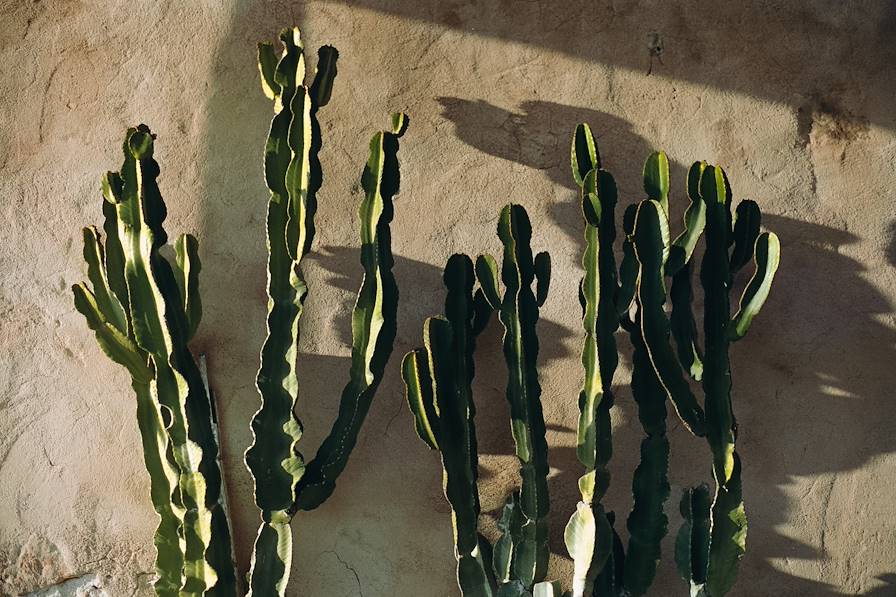 Ibiza - Baléares - Espagne