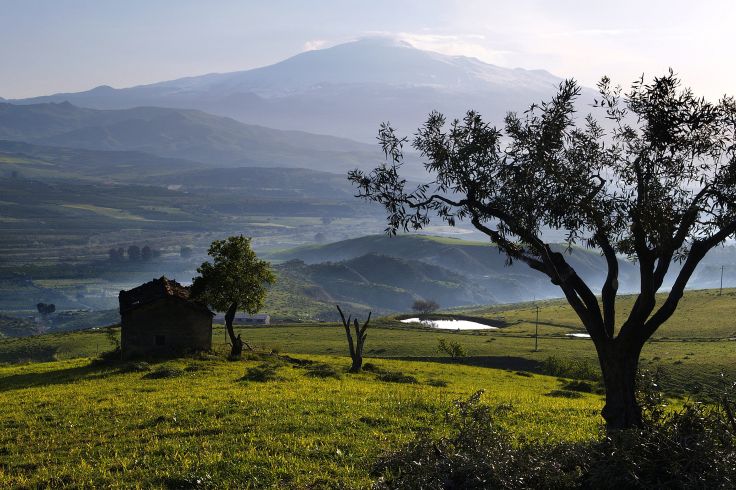Voyage itinérant Sicile - Palerme - Trapani - Agrigente - Syracuse - Riposto