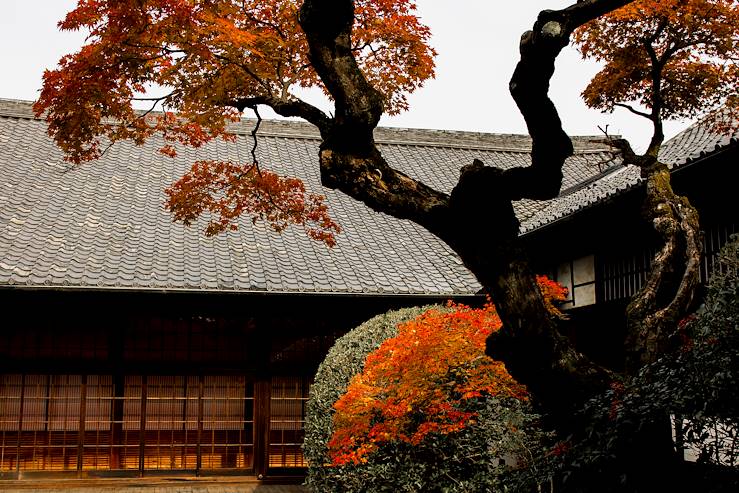 Kyoto - Japon