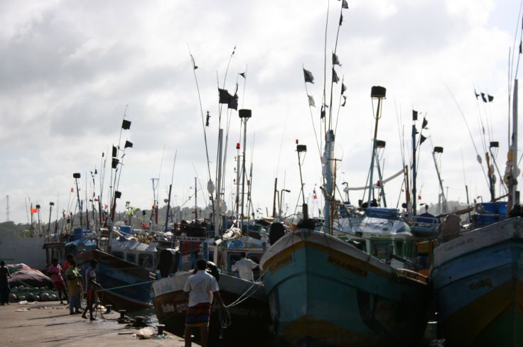 Mirissa - Sri Lanka