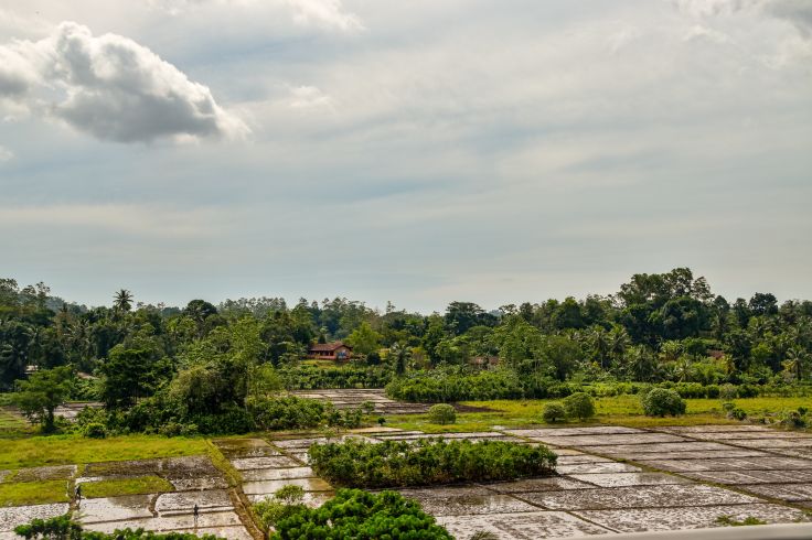Parc national de Bundala - Sri Lanka