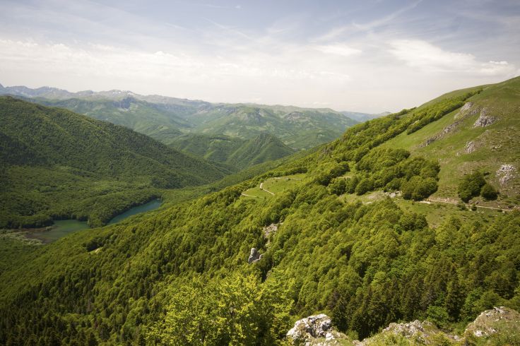 Parc national de Biogradska Gora - Monténégro