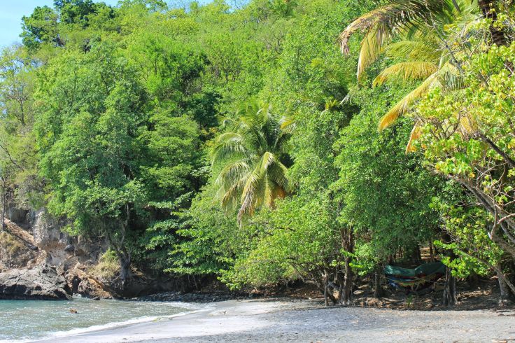 Plage du Carbet - Martinique