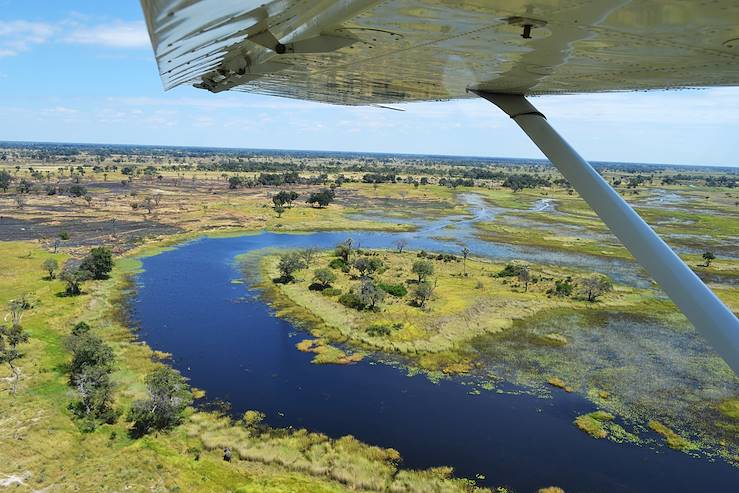 Delta de l'Okavango