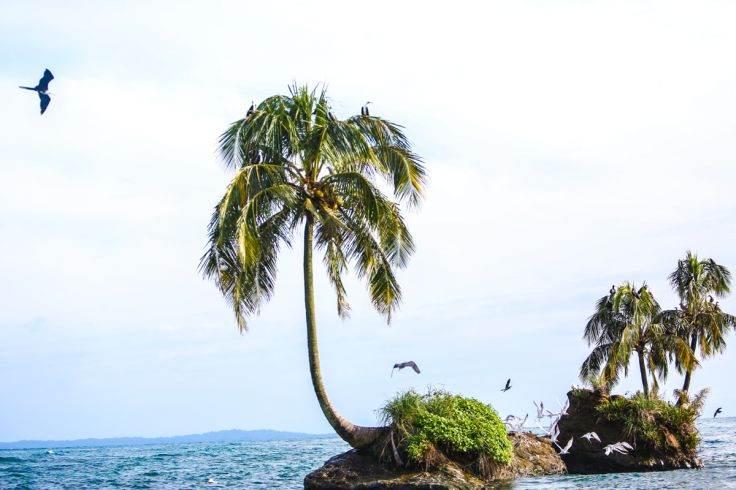 Azul Paradise - Bocas del Toro - Panama