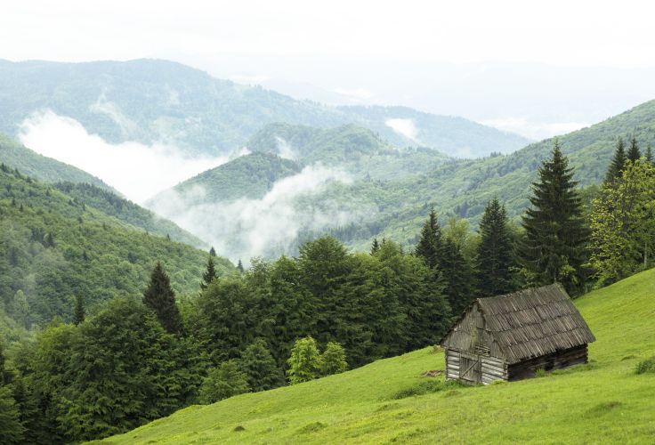 Voyage itinérant Roumanie - Bucarest - Transylvanie - Bucovine - Maramures