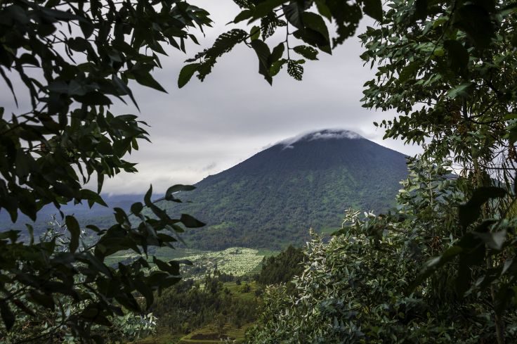 Voyage itinérant RWANDA - KIGALI - FORET DE NYUNGWE - PARC NATIONAL DES VOLCANS