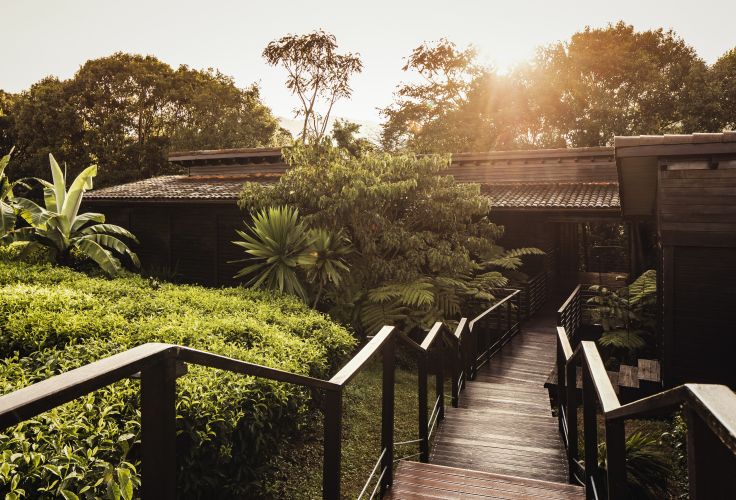 Voyage itinérant RWANDA - KIGALI - FORET DE NYUNGWE - PARC NATIONAL DES VOLCANS