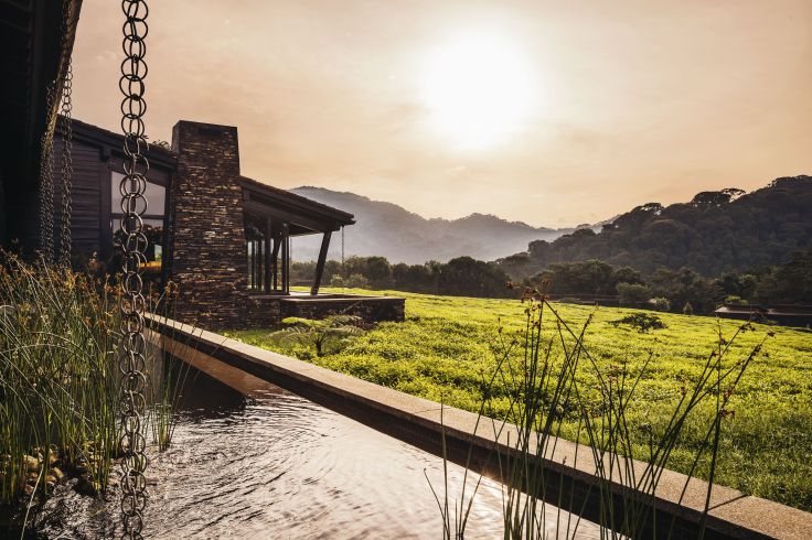 Voyage itinérant RWANDA - KIGALI - FORET DE NYUNGWE - PARC NATIONAL DES VOLCANS