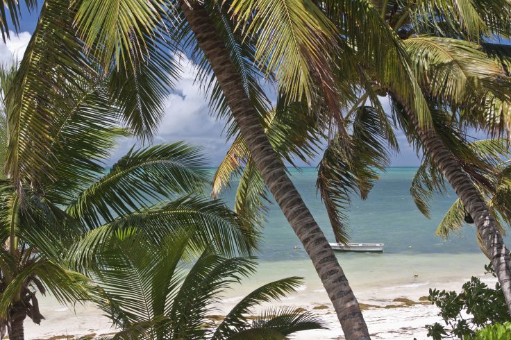 Voyage itinérant Seychelles - Mahé - La Digue - Praslin