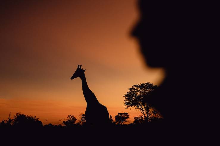 safari - Tanzanie