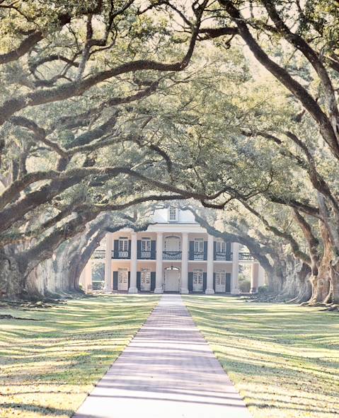 Plantation d'Oak Alley - Louisiane - Etats-Unis