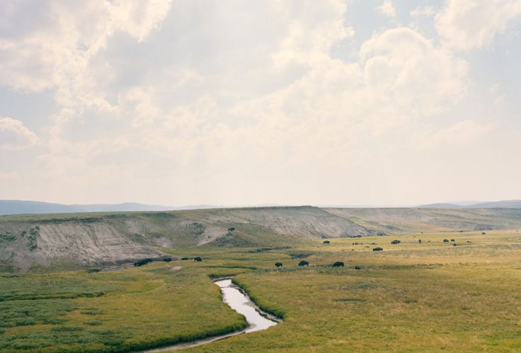 Parc national de Yellowstone - Wyoming - Etats-Unis