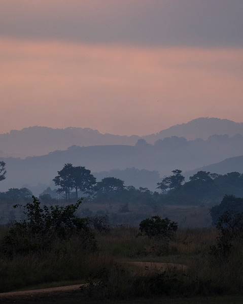 Voyages itinérants Gabon - Libreville - Parc national de Loango - Parc national de Pongara