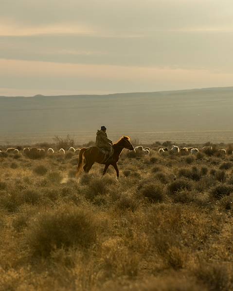 Voyages itinérants Kazakhstan - Astana - Almaty - Lacs Kolsai - Jarkent - Altyn Emel