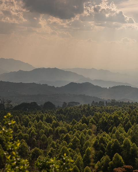 Voyages itinérants Malawi - Thyolo - Plateau de Zomba - Parc national du Liwonde - Lac Malawi - Lilongwe