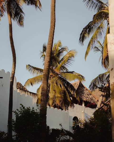 Voyages itinérants Tanzanie - Arusha - Tarangire - Manyara - Ngorongoro - Serengeti - Zanzibar - Stone Town