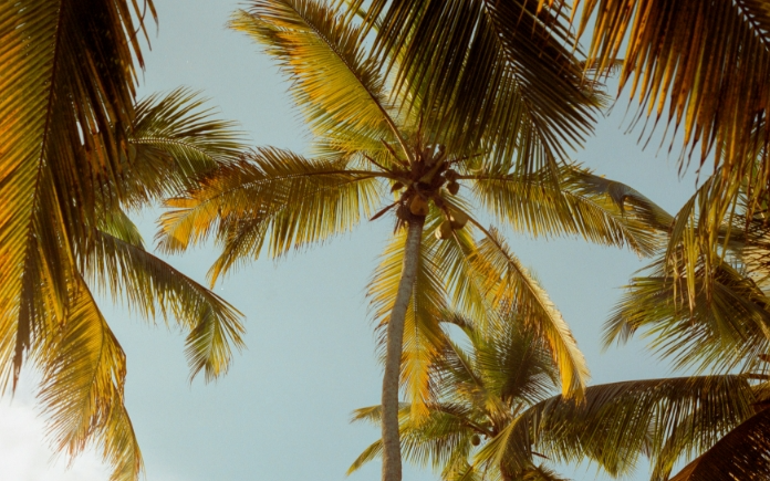 La Dominique et Antigua - Exclusivité insulaire