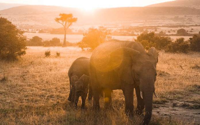 Kenya - À travers la vallée du Rift