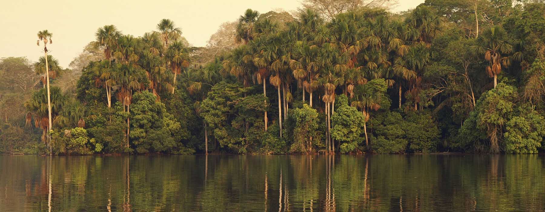 Tous nos voyages Amazonie péruvienne