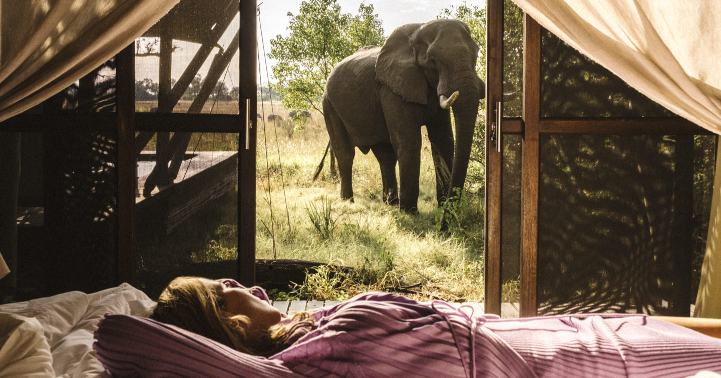 Vacances d'été Botswana