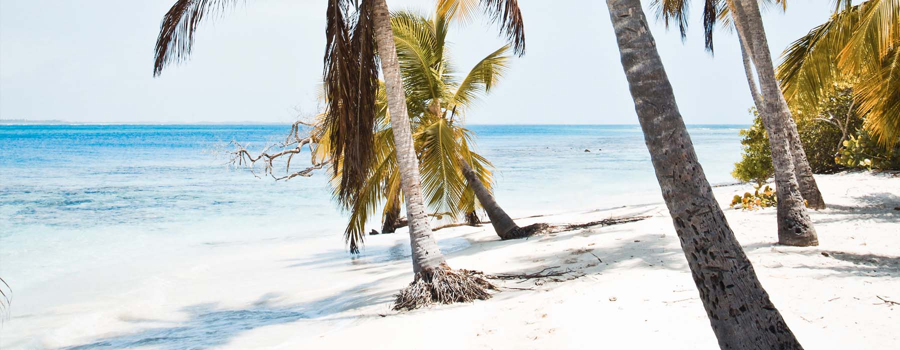 Tous nos voyages Caraïbes Vénézuela & Los Roques