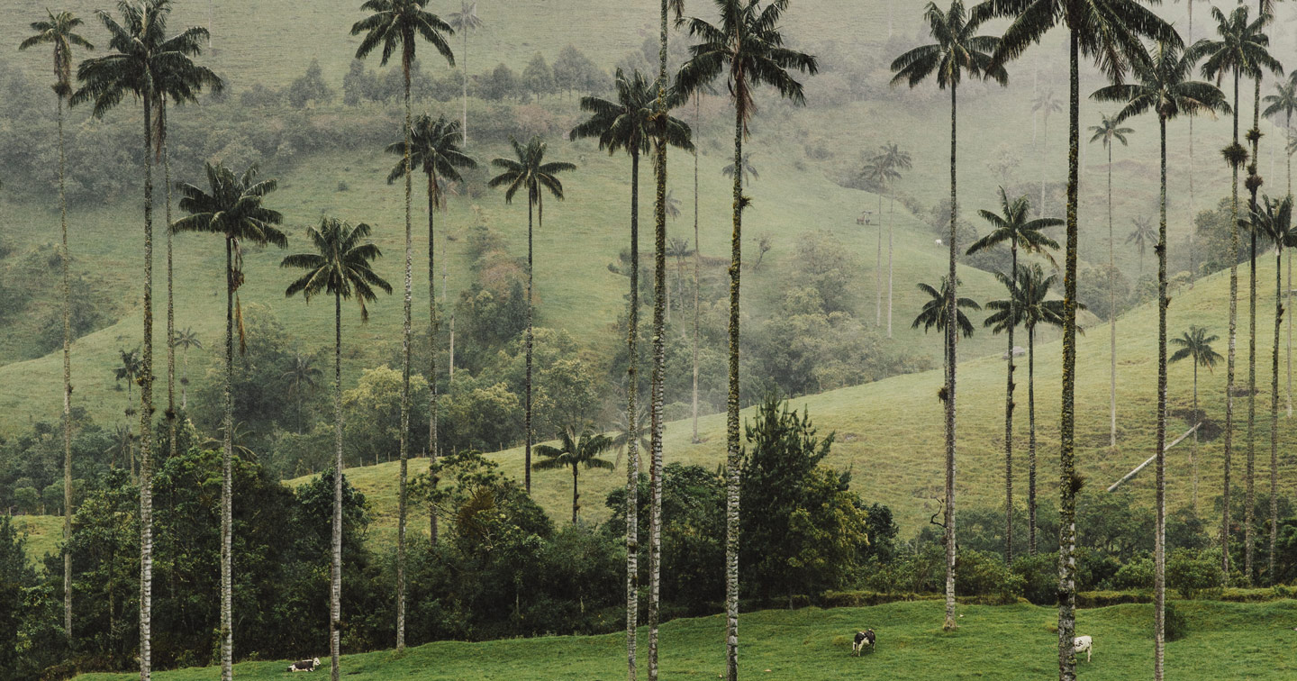 Voyage  Colombie