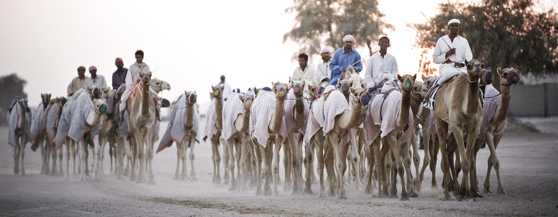 Tous nos voyages Dubaï 