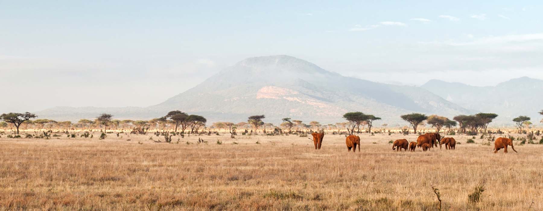 Jolis ponts de mai Kenya