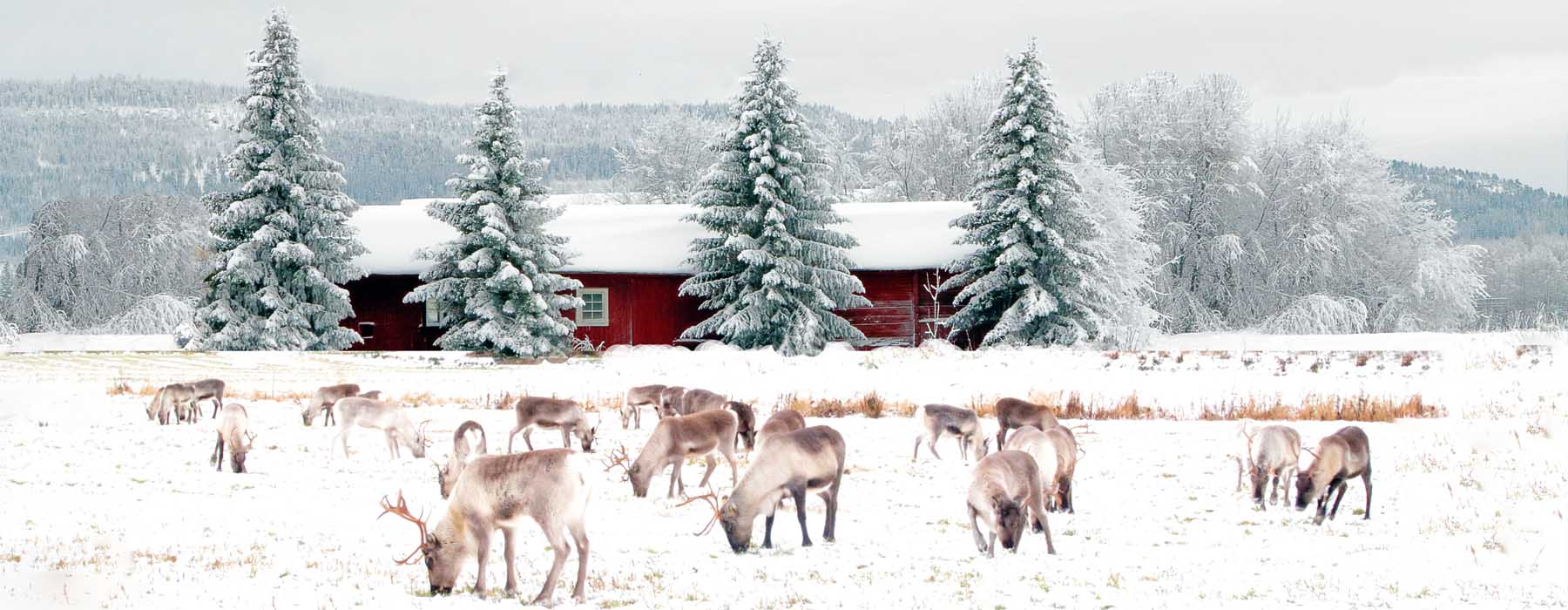 Tous nos voyages Laponie finlandaise