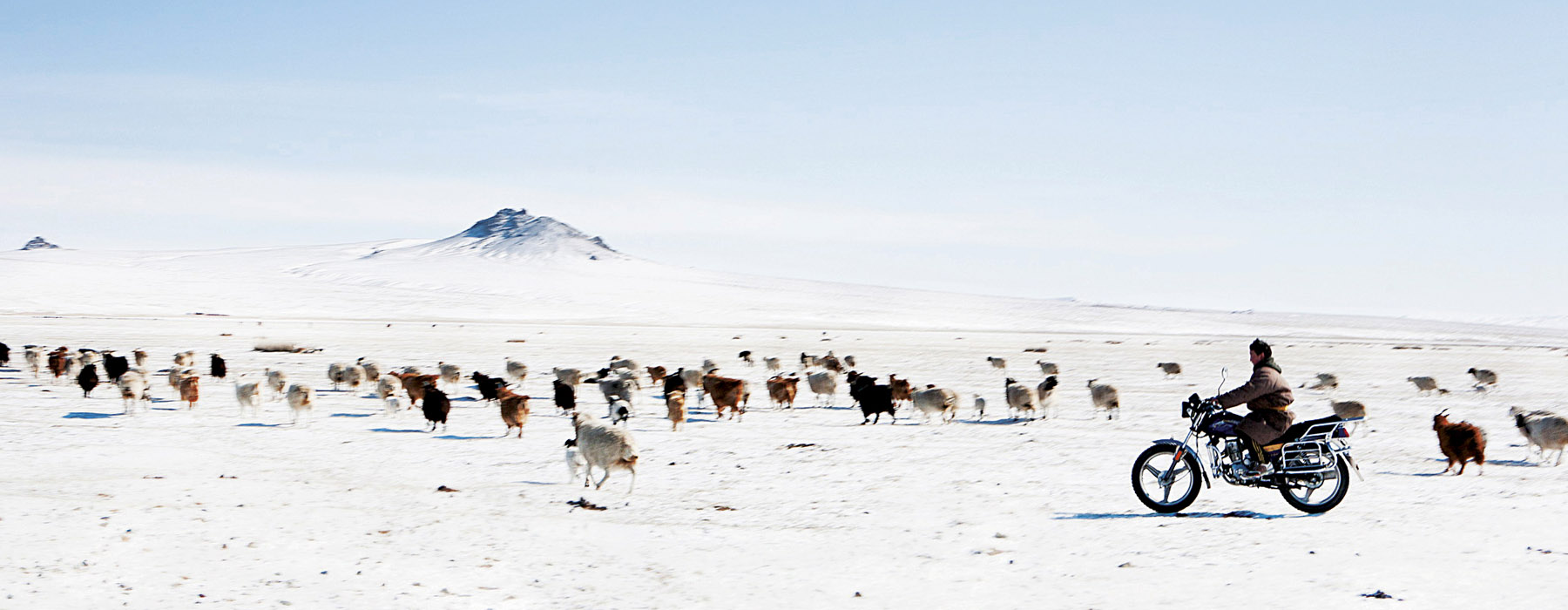 Un petit tour en ville Mongolie