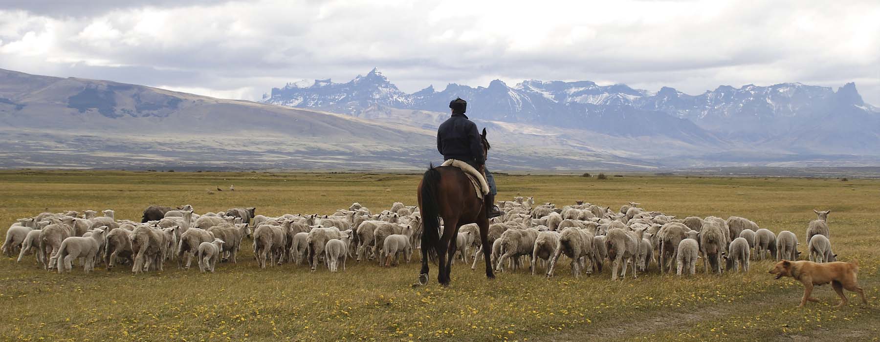 Tous nos voyages Patagonie Chilienne