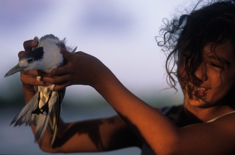 Archipel des tuamotu : une histoire d’eau