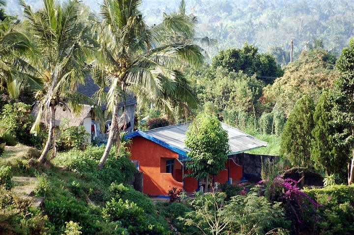 Maison et végétation à Lombok 