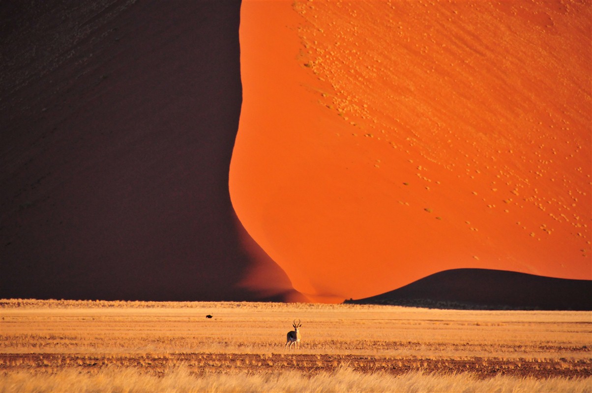 Désert du Sossusvlei