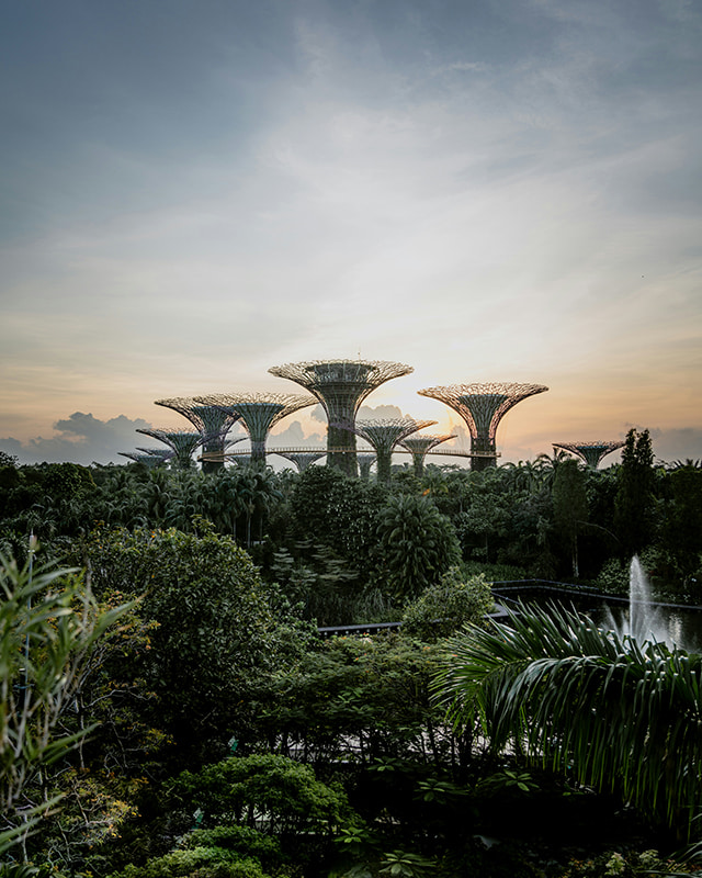 Architecture jardin à Singapour