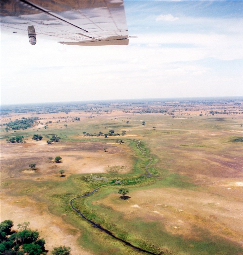 Le Botswana vu du ciel