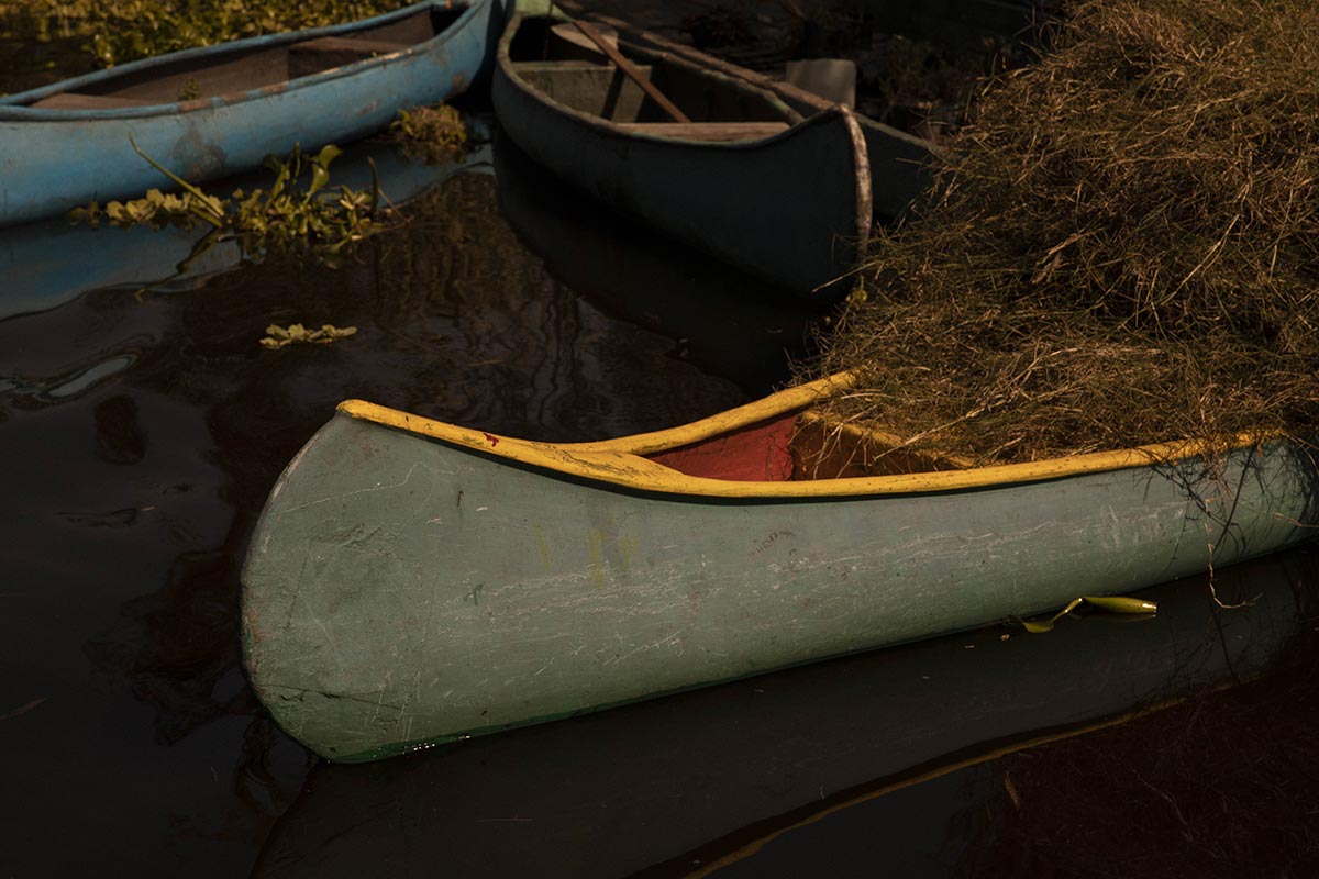 Barque à xochimilco